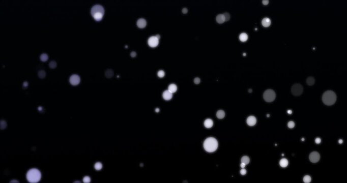 White and black particles bokeh floating. Loop