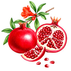 Ripe red pomegranate fruit with green leaves and flower isolated on a transparent background whole