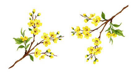 Two branches of yellow flowers with green leaves isolated on a transparent background floral bloom