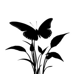  Silhouette of a butterfly resting on a flower