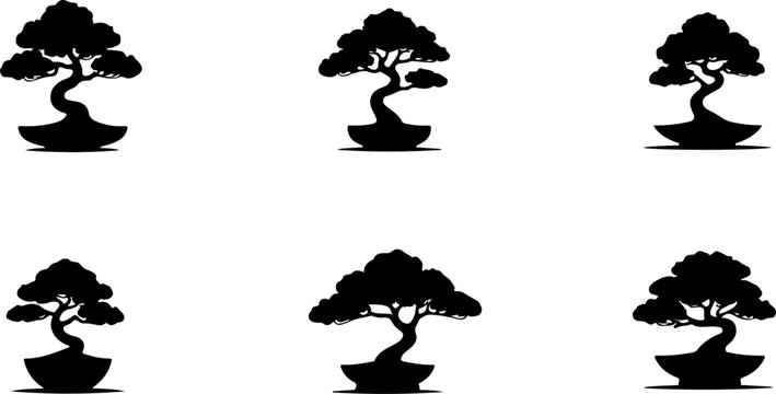 Bonsai Icon" Images  Browse 421 Stock Photos, Vectors, and Video | Adobe  Stock