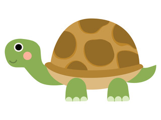 Cartoon Illustration of a Turtle