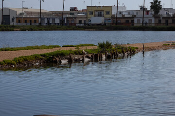 Salt marshes reflecting the blue sky near the city of faro in portugal