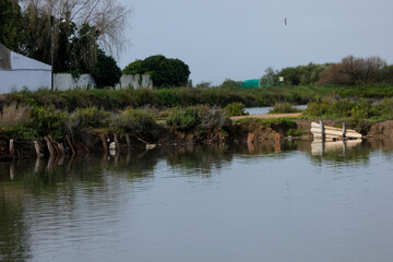 Salt marshes reflecting the blue sky near the city of faro in portugal