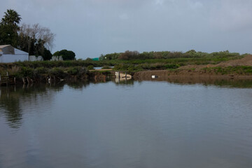 Salt marshes reflecting the blue sky near the city of faro in portugal