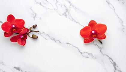 Two Red Orchids On White Marble Background