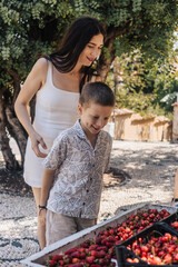 A young Caucasian woman and her son explore a market stall filled with fresh strawberries. The boy smiles as they enjoy their time together outdoors.