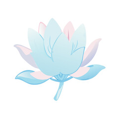 lotus flower vector illustration