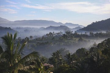Panoramic Mountain Landscape with Palms in Morning Mist