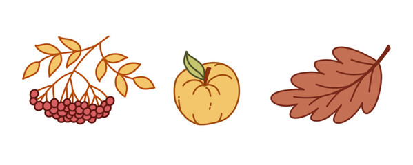 Autumn Vector Set – Rowan Berries, Apple, and Oak Leaf Illustration for Fall Decor, Stickers, and Packaging Design