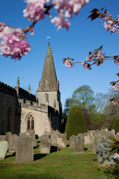 Baslow Parish Church and spring cherry blossom, Derbyshire, England