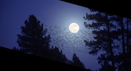 Naklejka premium Silhouetted Trees Frame Moonlit Sky as Birds Fly Across the Night