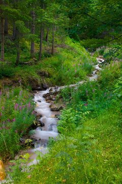 Stream, Vigo di Fassa, Fassa Valley, Trento Province, Trentino-Alto Adige/South Tyrol, Italian Dolomites, Italy