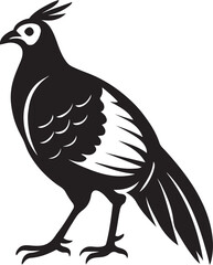 Obraz premium Pheasant with detailed plumage vector, Bird silhouette black and white design