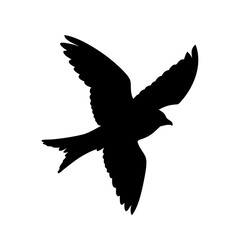 dove of peace