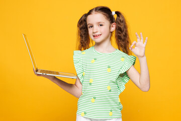 Little smiling cute IT kid child girl 8-9 years old wear green t-shirt hold use work on laptop pc...