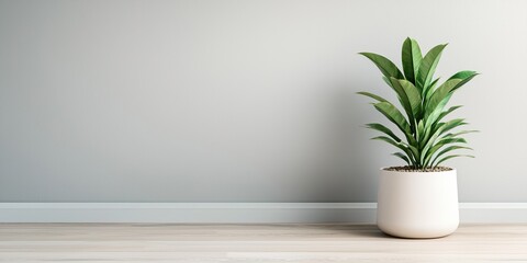 A modern, minimalist room featuring a green plant in a white pot against a light gray wall, creating a fresh and serene atmosphere.