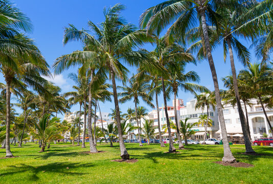Ocean Drive and Art Deco architecture looking through palm trees, Miami Beach, Miami, Florida