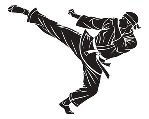 Fototapeta premium karate player vector transparent background