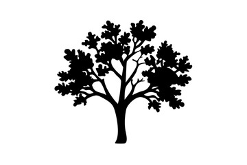 Blooming Oak Tree Silhouette nature