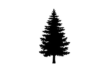 Blue Cypress Tree Silhouette nature