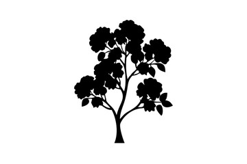 Blue Eucalyptus Tree Silhouette on White nature plant