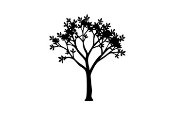 Obraz premium Blue Dogwood Tree Silhouette nature plant