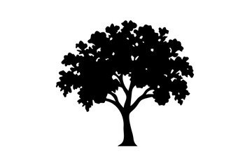 Blue Fig Tree Silhouette on White Background plant