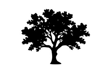 Fototapeta premium Blue Oak Tree Silhouette nature