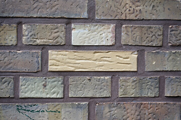 Irregular Brick Wall with Light Colored Block