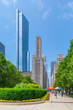 View of skyscrapers from Millennium Park, Downtown Chicago, Illinois
