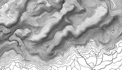 topographic line contour map background, geographic grid map