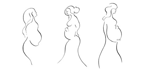 Vector pregnant woman set. Hand painted linear contour, silhouette, elegant curves. Graphic girl gracefully holding her belly clipart isolated. Tattoo illustration. For designers, invitations