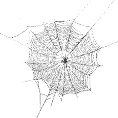 Obraz premium Web vintage y2k stipple art, silk halftone stipple brutalist retro vector png with transparent background, spider 2000s aesthetic photocopy effect tattoo