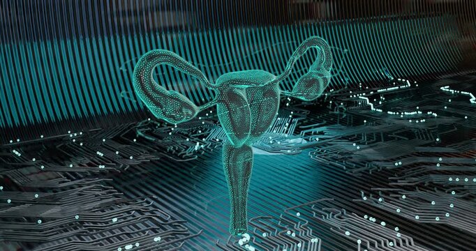 3D animation rotating abstract low-poly frame digital internal biological female organs with neon illumination with digital scanning effect. Futuristic visualization of innovation and science