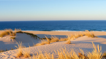 golden grass grows on the sandy seashore
