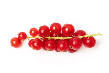 Organic ripe tasty organic berries red currant isolated on white studio background