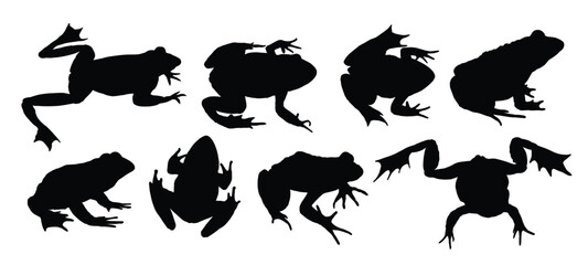 Set of big frogs silhouettes.
