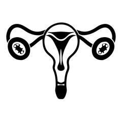 Ovary with egg anatomy diagram for medical education. Ovary with egg illustration showcases female reproductive system, detailing ovary with egg development.