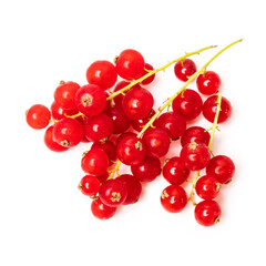 Organic ripe tasty organic berries red currant isolated on white studio background