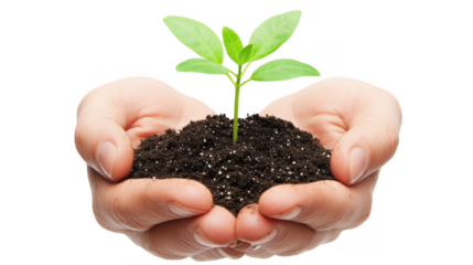 Hands cradle a small green plant sprouting from dark soil, showcasing a commitment to nurturing life and nature