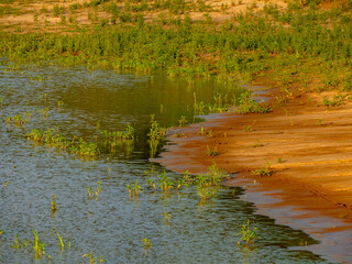 Schlammiger Erdboden nach viel Regen