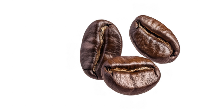 Three dark roasted coffee beans displayed up close, highlighting their rich color and texture on a clean background
