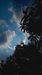 Sunlight peering through clouds and tree silhouettes against a blue sky