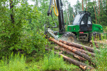 Heavy machinery operates in a forest, processing logs during a green forestry operation