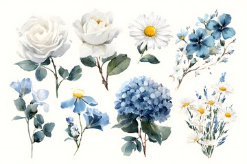 A set of watercolor flowers and leaves in various sizes, including roses, hydrangeas, violets, and baby's breath, on a white background with blue and green colors.