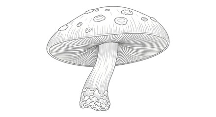 Isolated Mushroom Illustration
