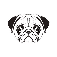 English bulldog and pug puppy cute dog portraits on white background sitting and looking