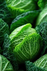 Fresh Green Cabbage Leaves with Intricate Textures and Vibrant Colors