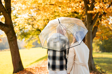 Rainy season. Young beautiful couple in love walking under an umbrella in an autumn park. Yellow leaves of trees.